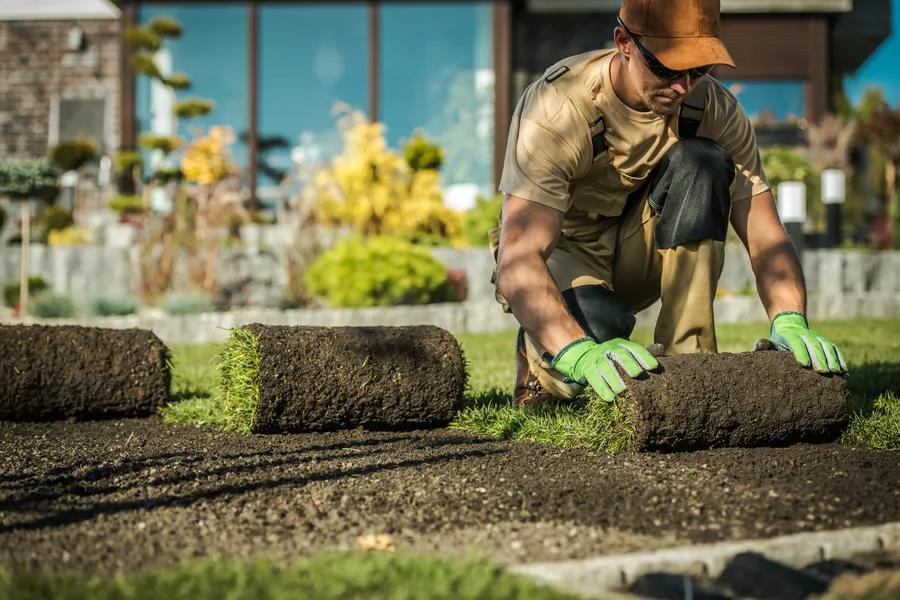 Affordable Landscape Maintenance