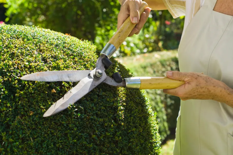 Bush Care