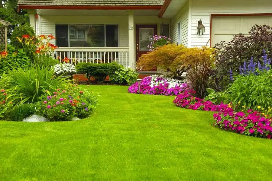 Trimming Service